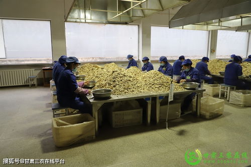 隴西縣實(shí)現(xiàn)道地中藥材生產(chǎn)全程可追溯，助力醫(yī)藥教學(xué)器材升級(jí)
