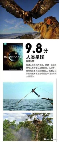 足不出戶看世界 9部堪稱神級的BBC紀(jì)錄片，暑假陪孩子一起漲知識